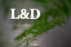 267.95亿!唯美LD陶瓷连续十二年荣膺“中国500最具价值品牌”!